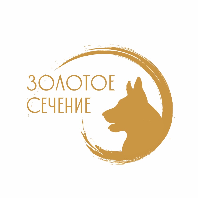 Золотое Сечение